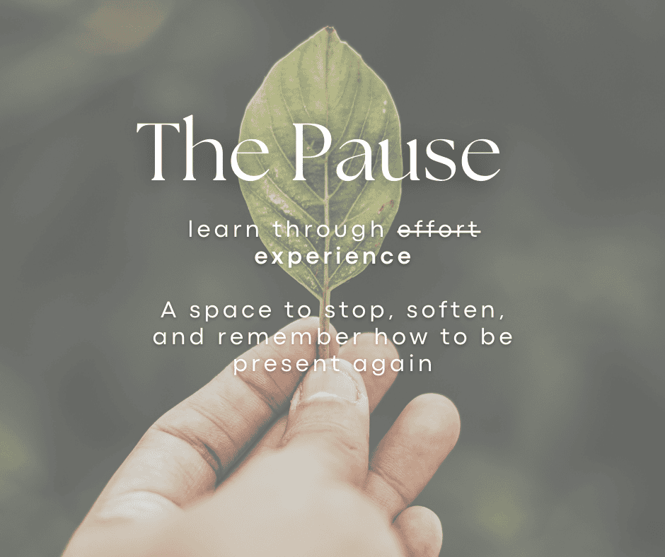 Hand holding a leaf with overlaid text promoting mindfulness and presence, related to Dacia Davison, MOT, NZROT, and The Pause Group.